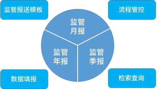盛邦安全發(fā)布金融行業(yè)信息科技非現場監(jiān)管報表填報系統 rayport